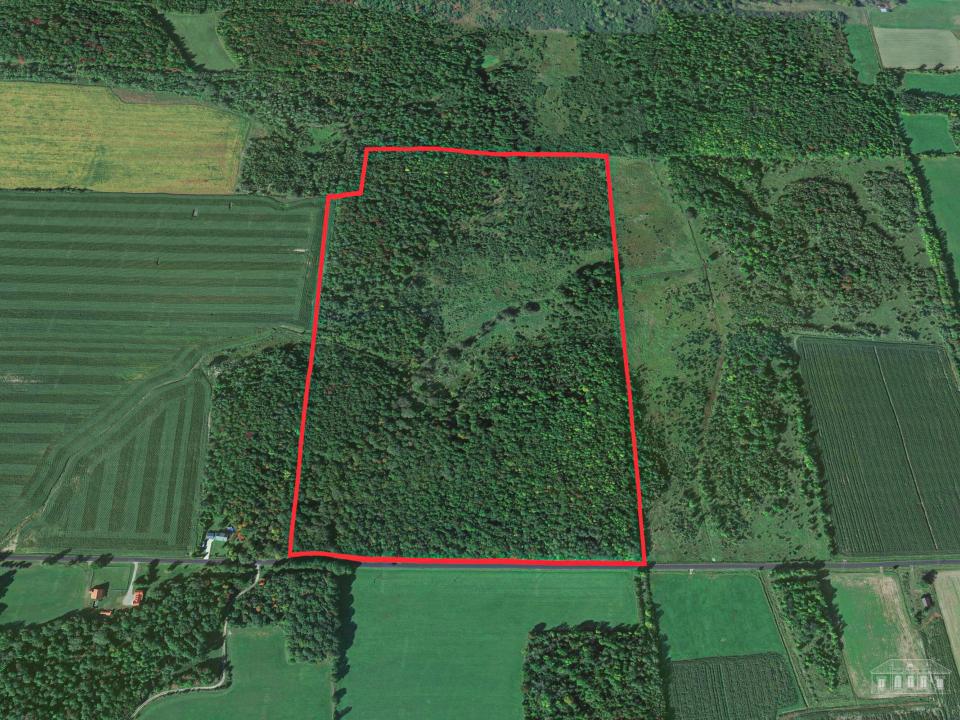 163 Callahan Rd Burke-4