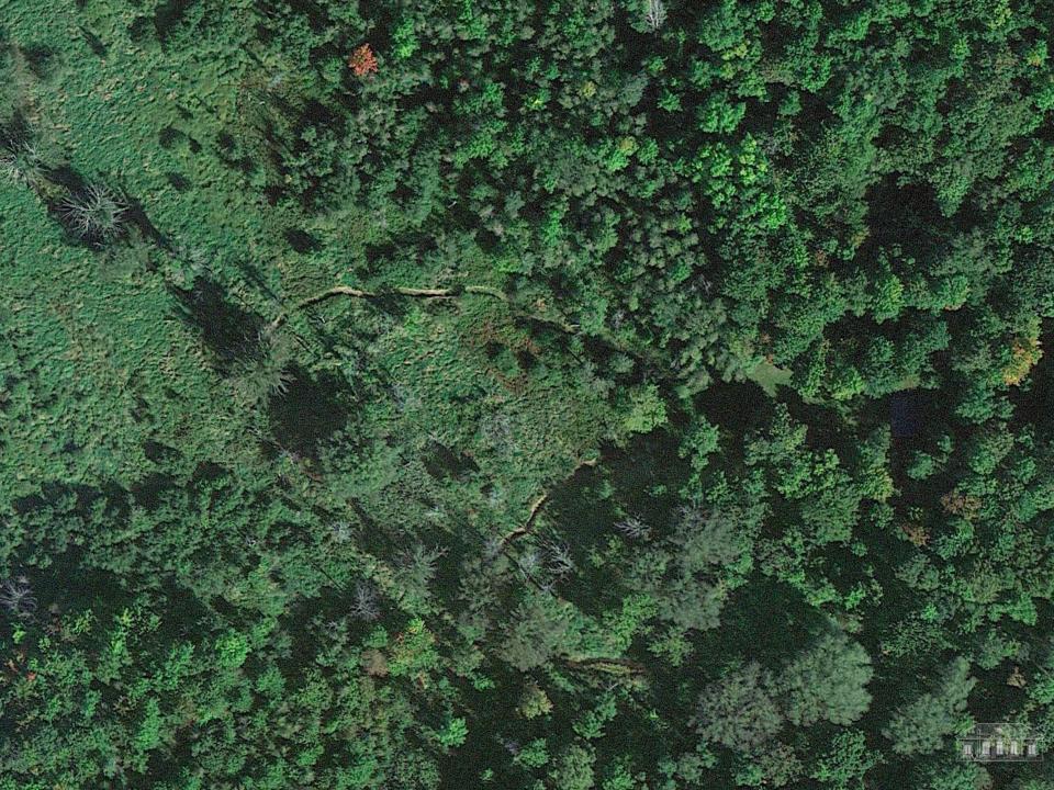 163 Callahan Rd Burke-5