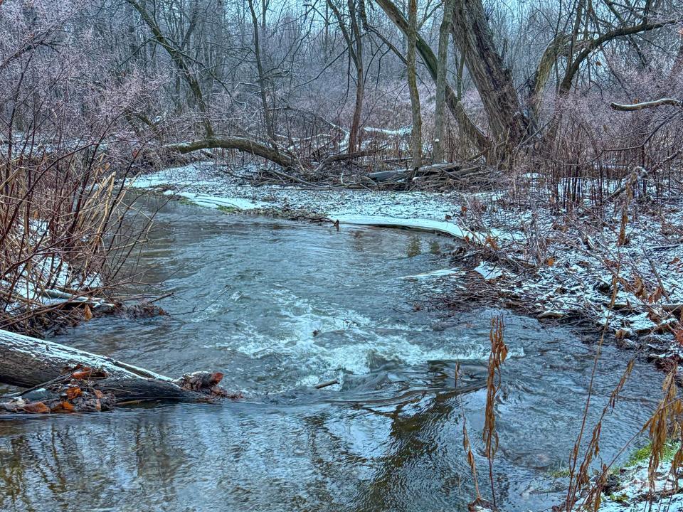 163 Callahan Rd Burke-6