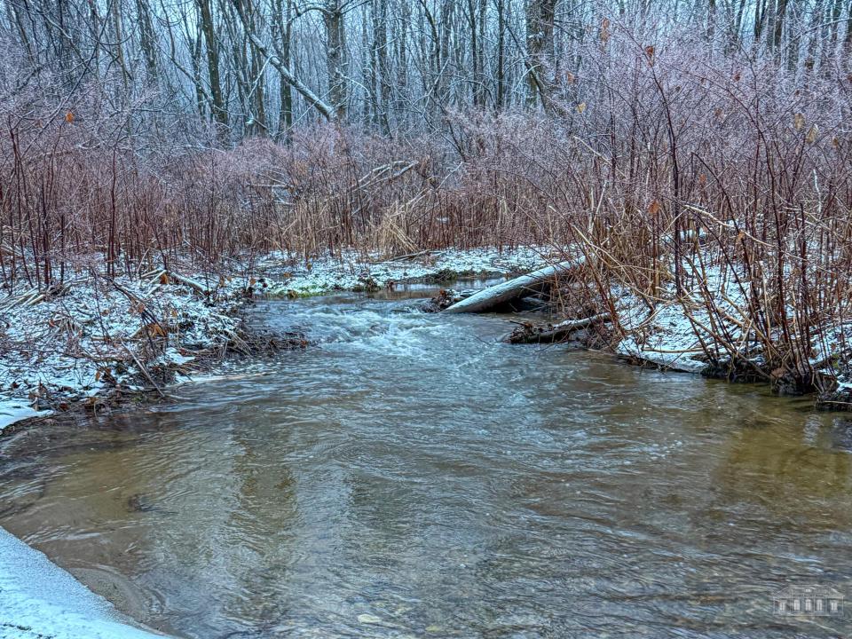 163 Callahan Rd Burke-7