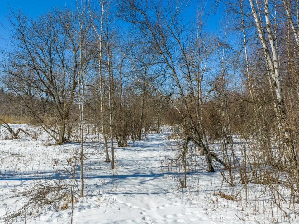 163 Callahan Rd Burke-45