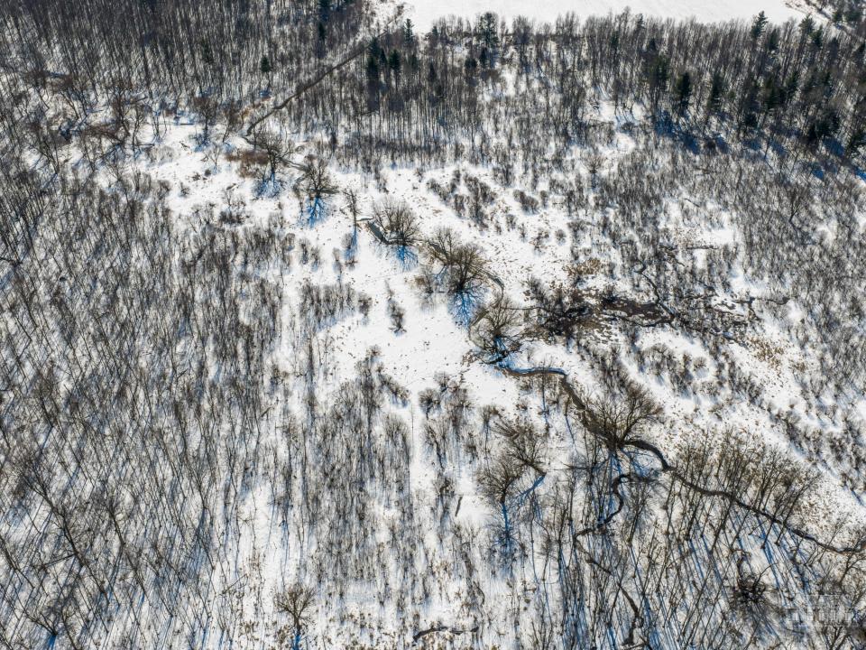 163 Callahan Rd Burke-58