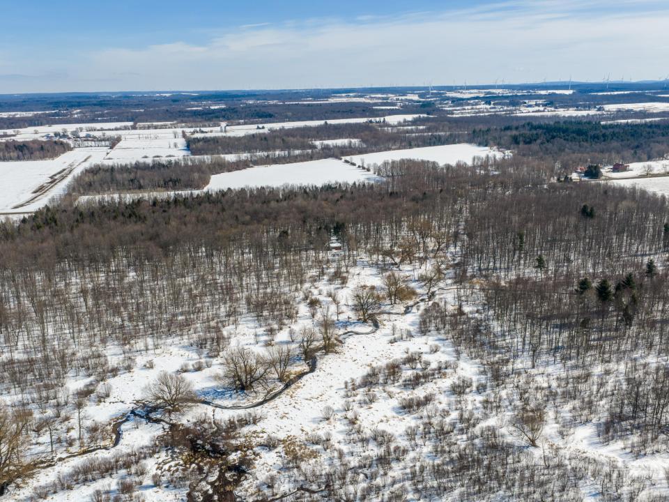 163 Callahan Rd Burke-59