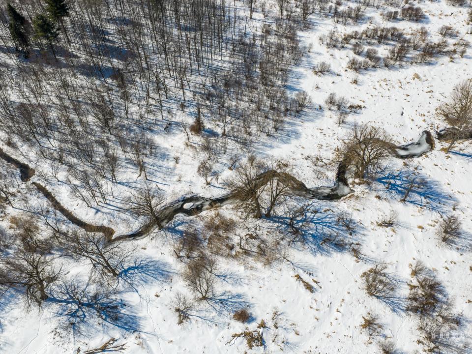 163 Callahan Rd Burke-60