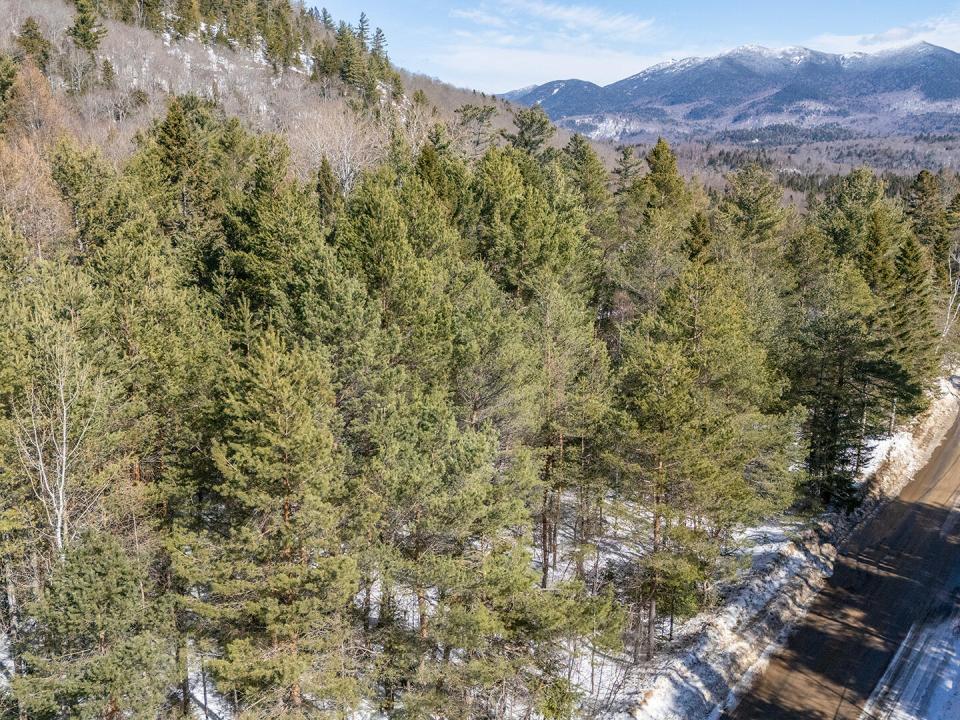 LandOnCobbleHillRoad_A_Low_Lot_L