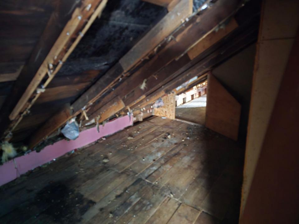 IMG_20260307_134050 (10)