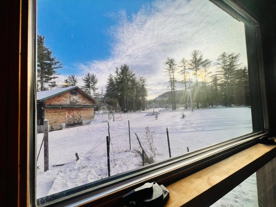 View of Side Yard