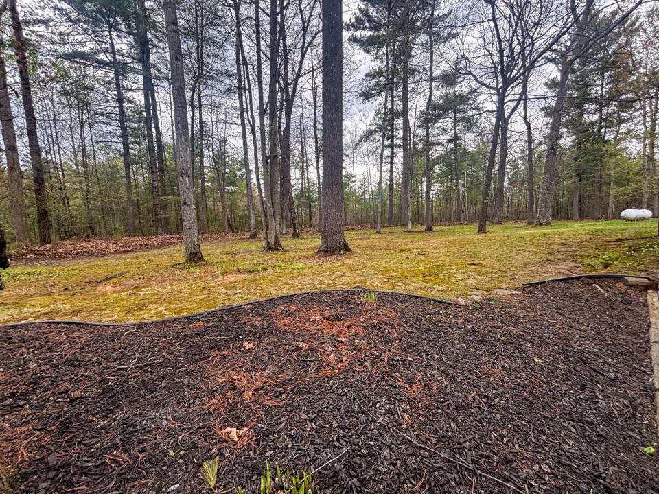 Spring Clean Up