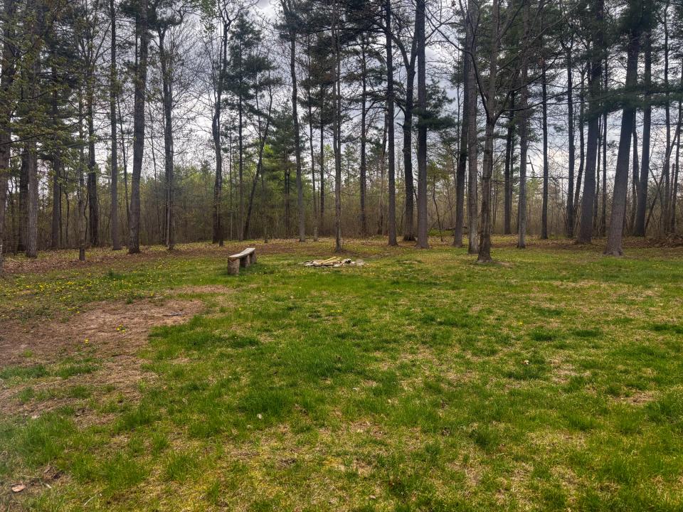 Spring Clean Up
