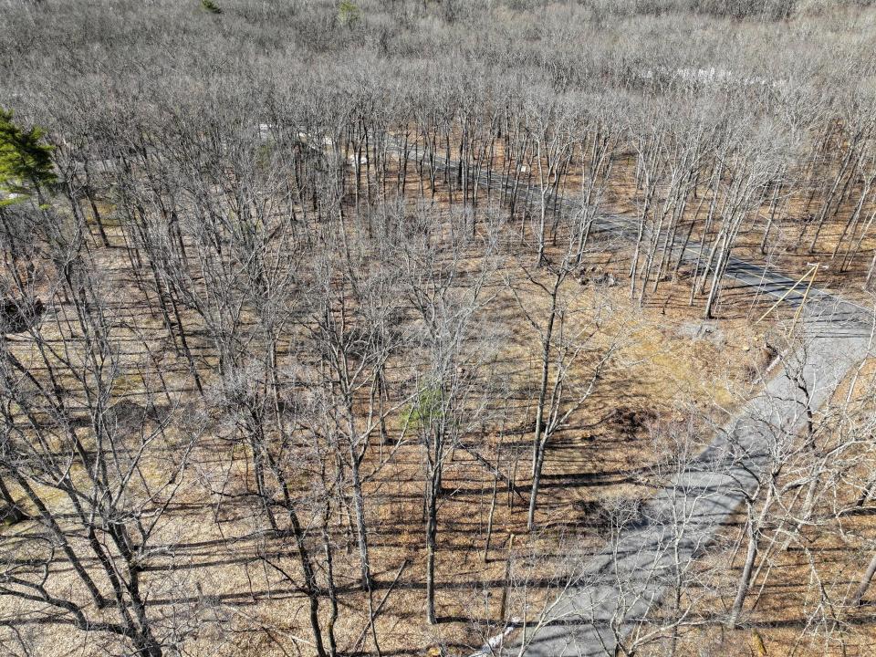 DJI_20260330101347_0043_D-2 (Copy)