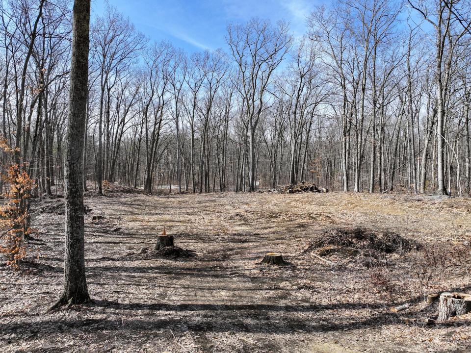 DJI_20260330101809_0058_D-2 (Copy)