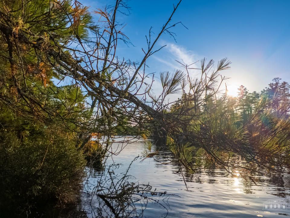 Lisa P Rainbow Lake fall shots-13