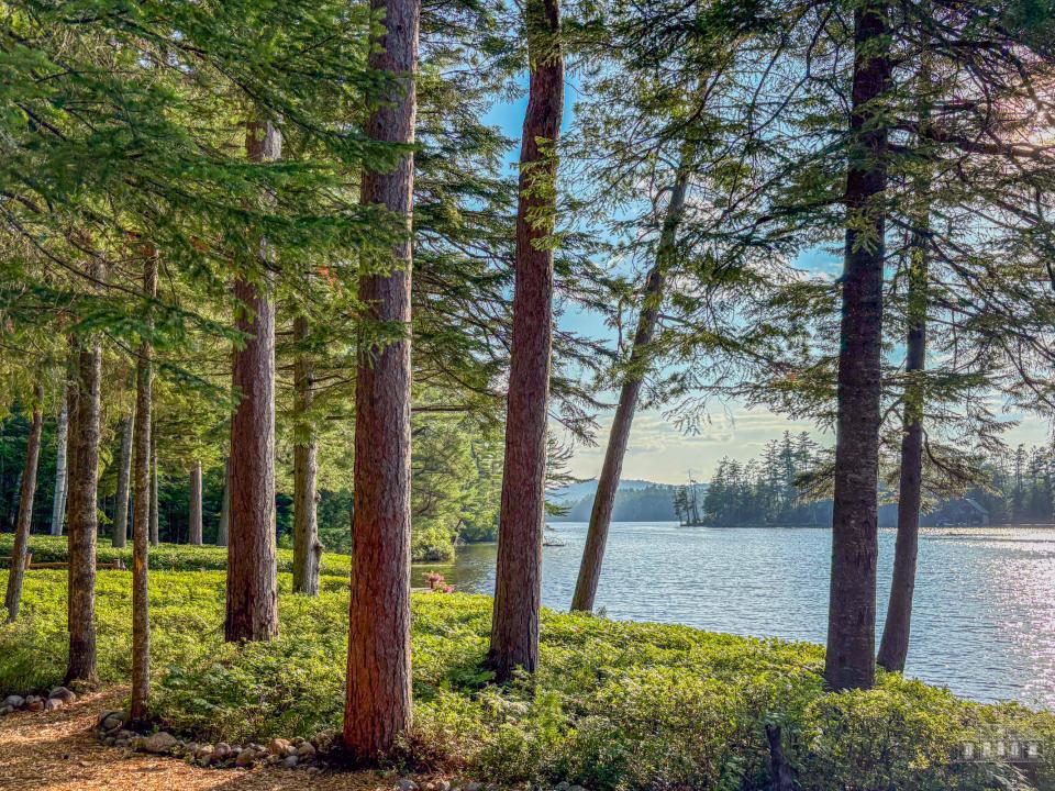 142 Tebbutt Rd RL Client Edited-43