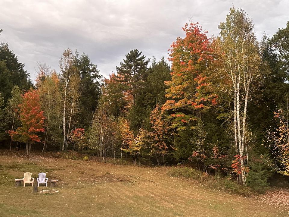 Fall View