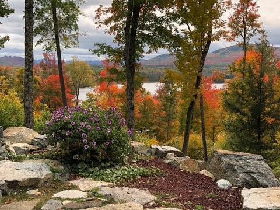 842F8B4F-4C04-4EEE-B616-17015B112FD1