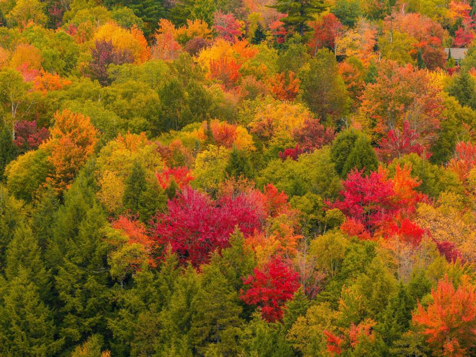 Sept24th_028_WarmTone