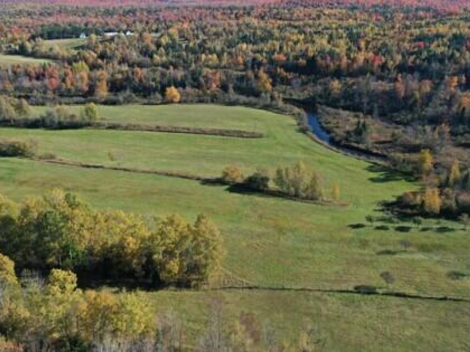 2A54B00C59D64D5AB81C4C369484FA9F