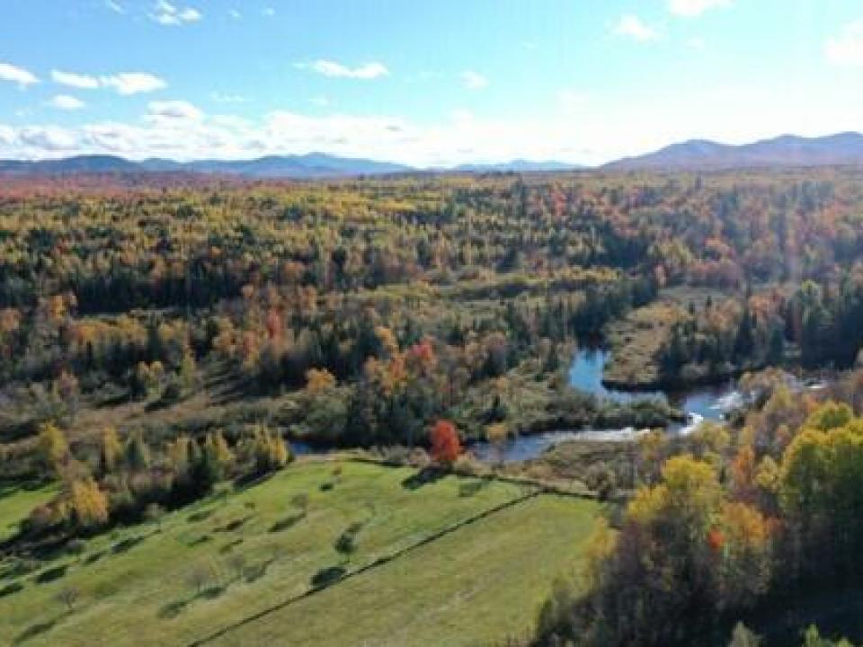 91F6FF5DF241452E8ACF9DB05AA0209B