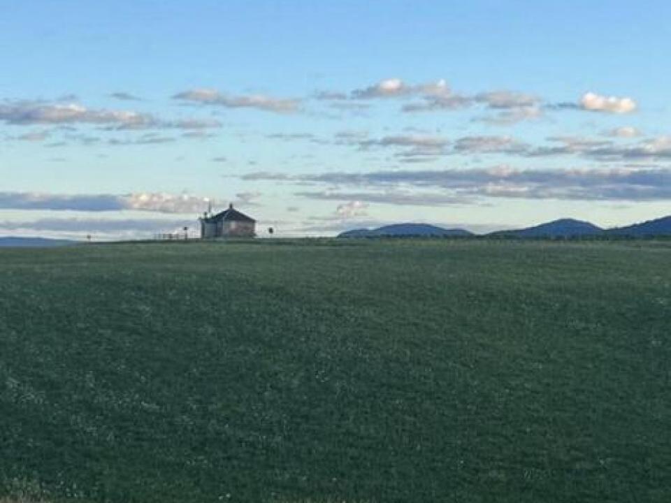 20260402233600416514000000-o