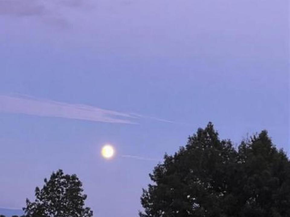 20260402233601477649000000-o