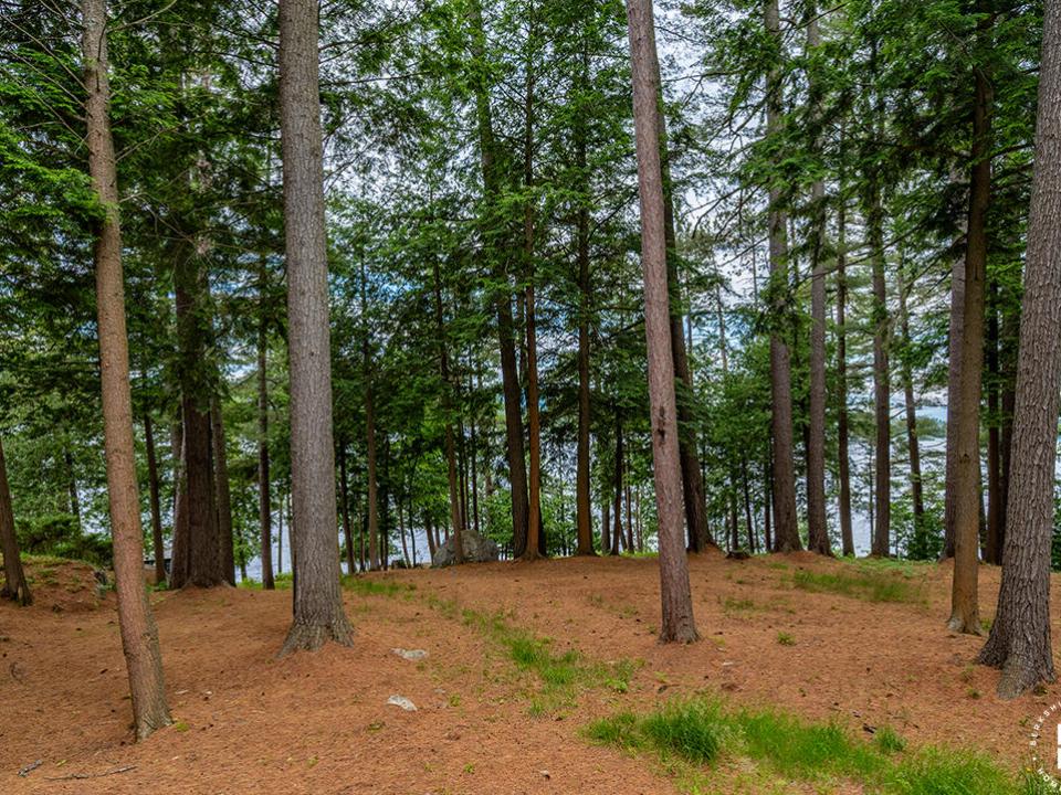 HistoricHomeOnLowerSaranacLake_MH_Yard_V