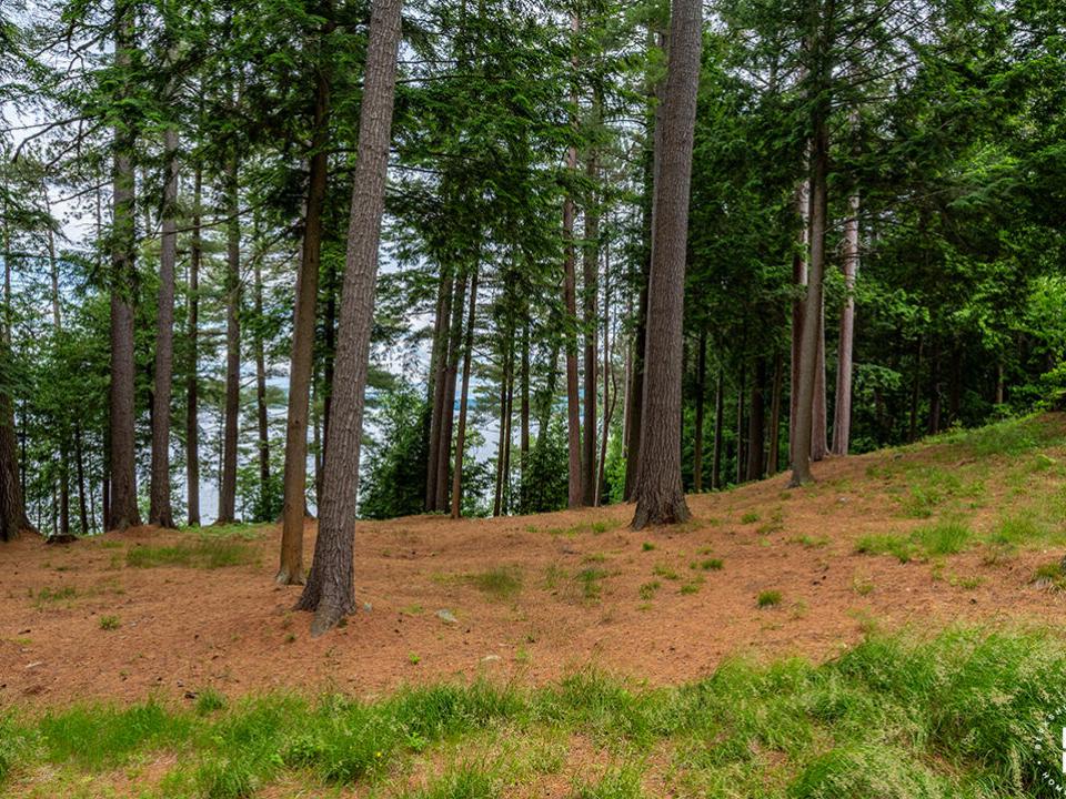 HistoricHomeOnLowerSaranacLake_MH_Yard_V