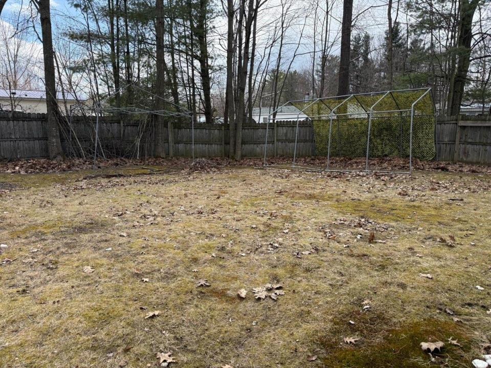 1775501481511_0611550329_aa7c554b_v1