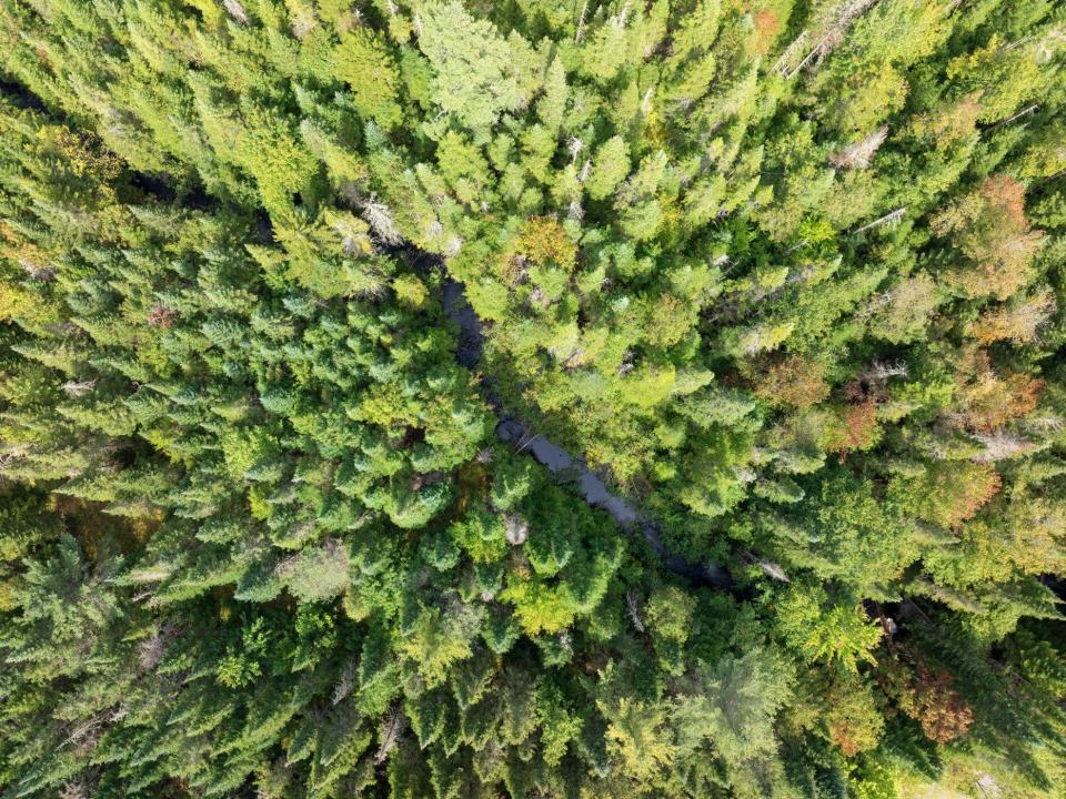 DJI_20240906132108_0373_D_JCM