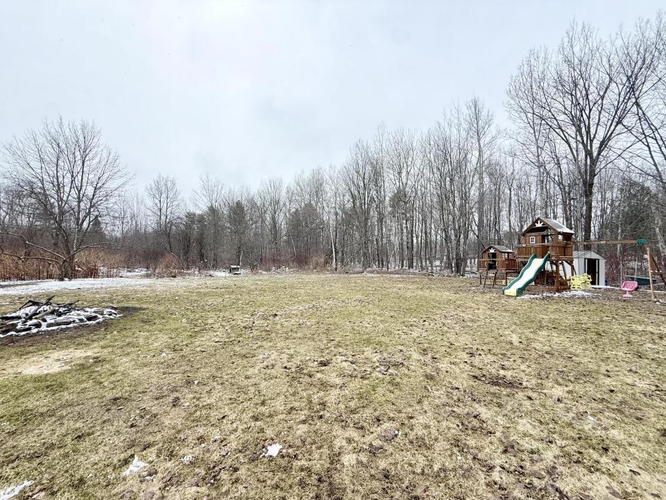 Back yard