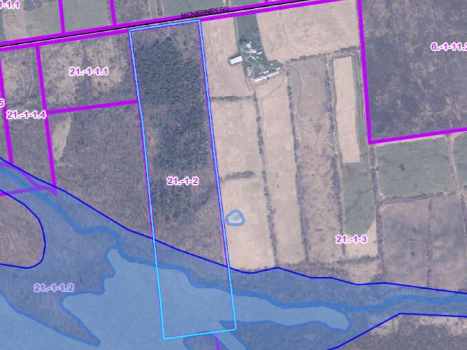 Screenshot 2025-07-30 115138