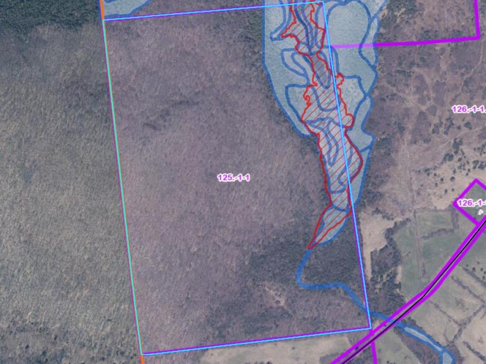 Screenshot 2025-07-30 114649