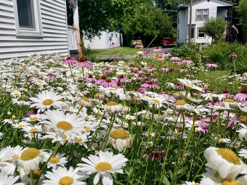 Yard