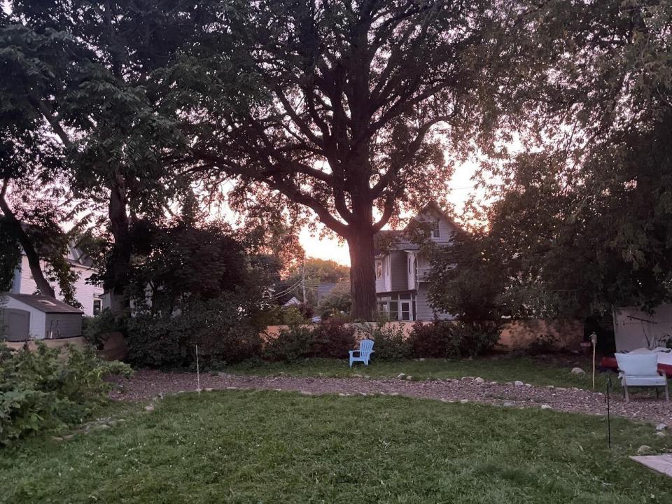 Back yard
