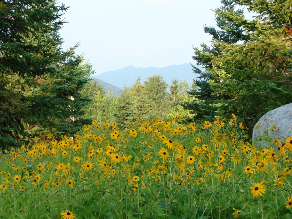The Whiteface Lodge Lake Placid NY 003