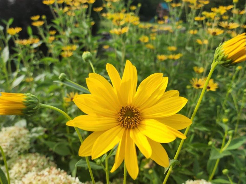 1776954804168_0394485737_aa7c554b_v1