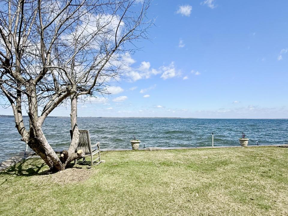 Back yard