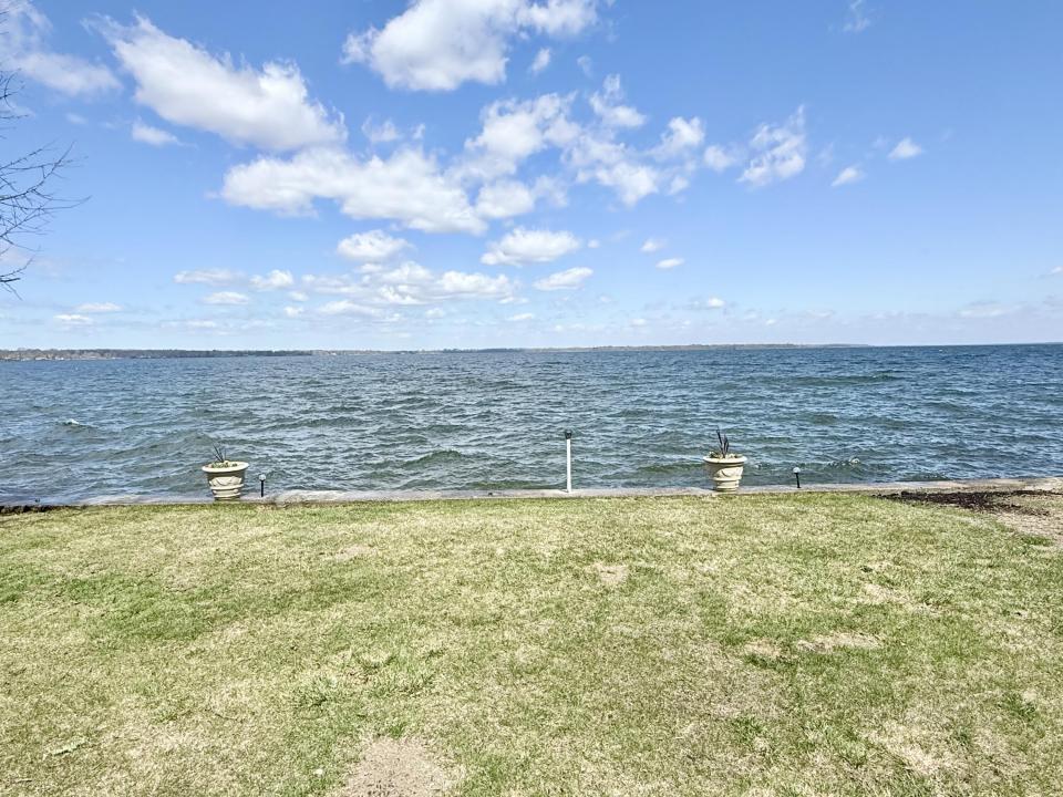 Back yard