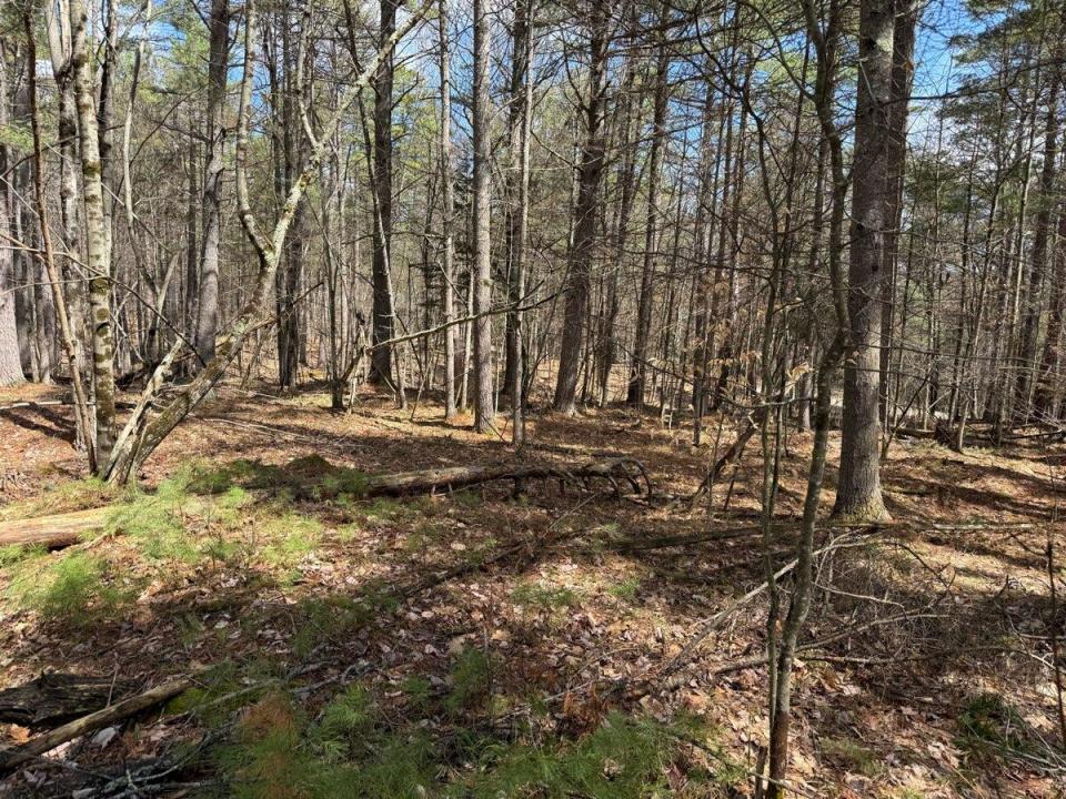 1776990470108_0996796924_aa7c554b_v1