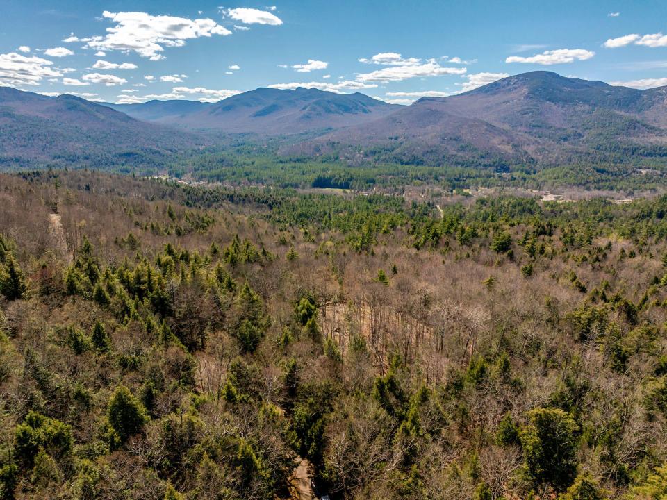 Levi Pano