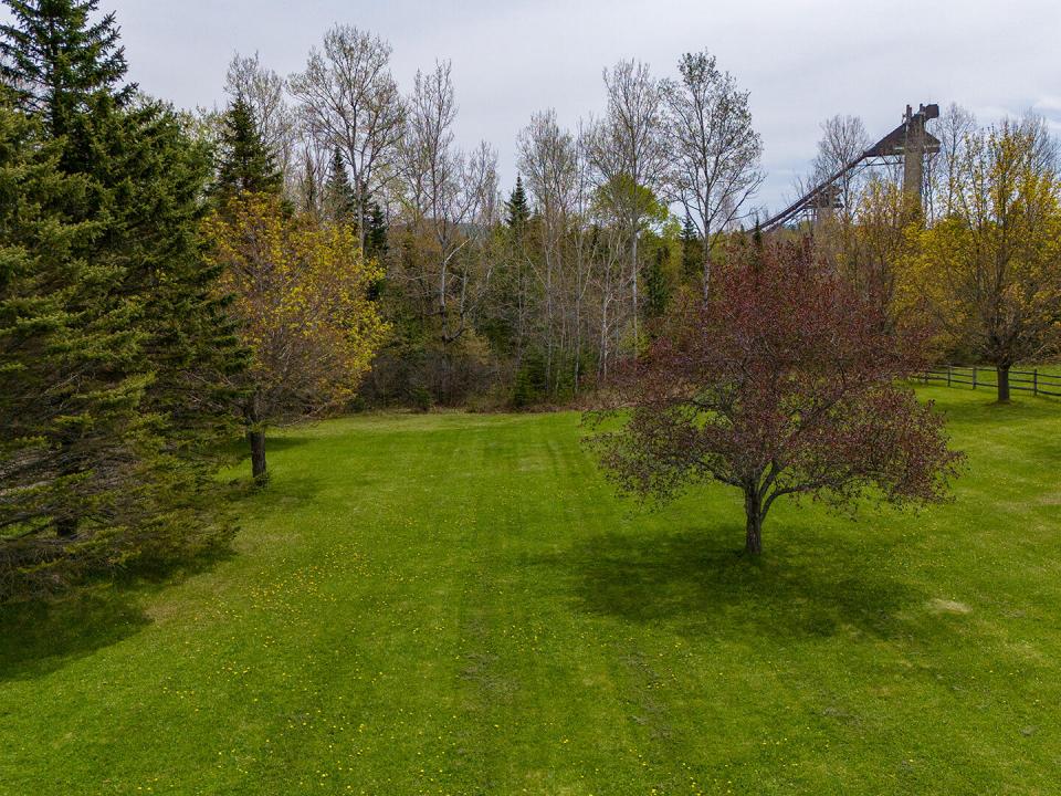 RentalJohnBrown_Yard_SkiJumps