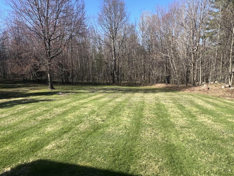Yard