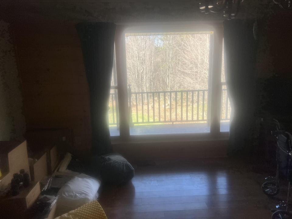 Living Room Window