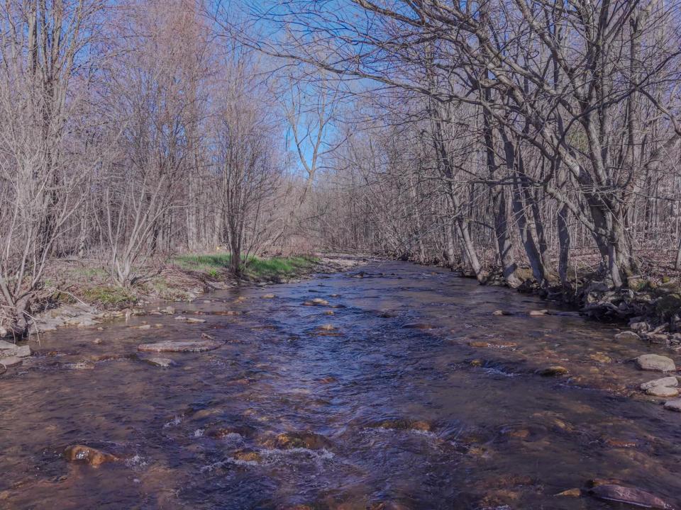 Burke_drone_0454