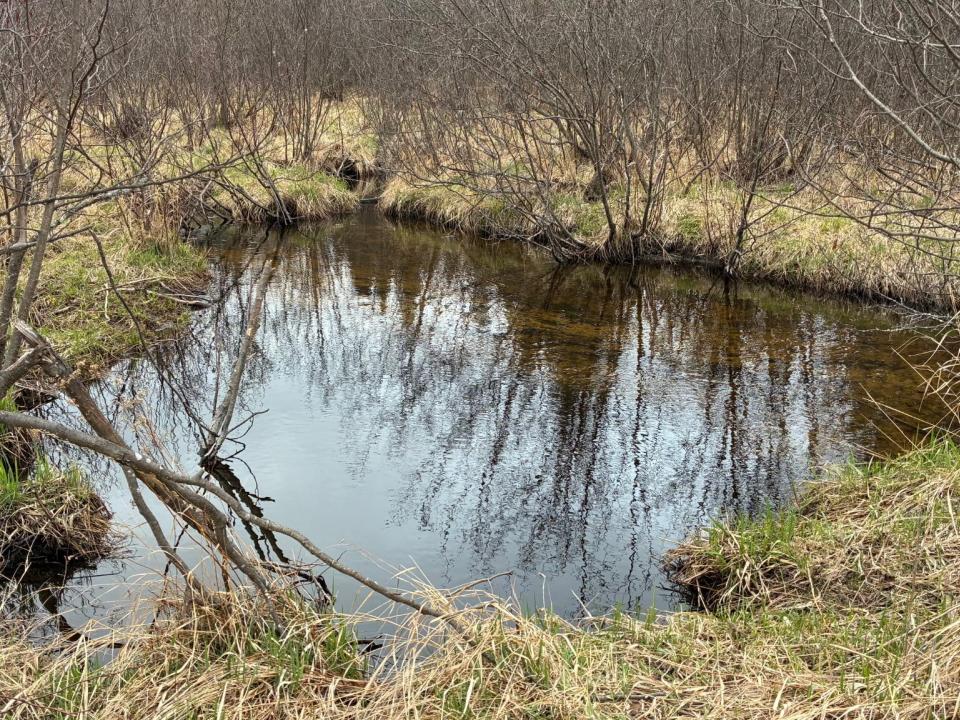 Standish Road 86 Acres