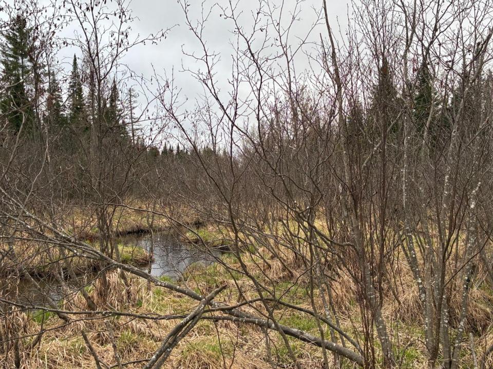 Standish Road 86 Acres
