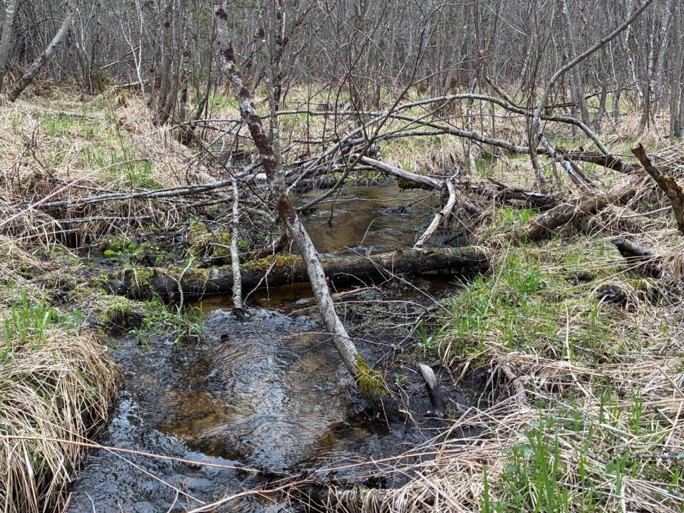 Standish Road 86 Acres