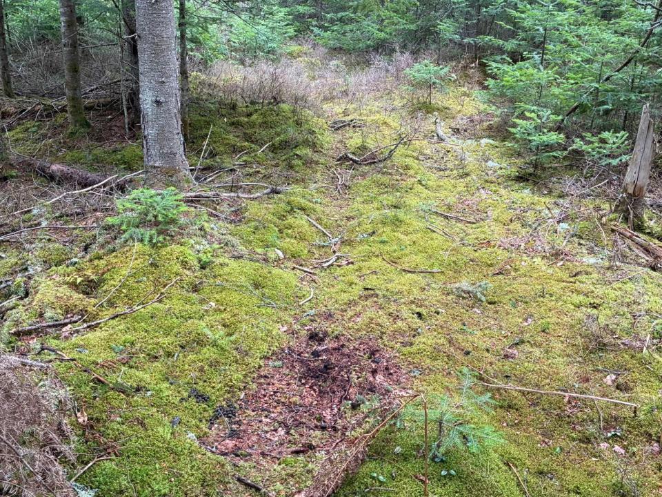 Standish Road 86 Acres
