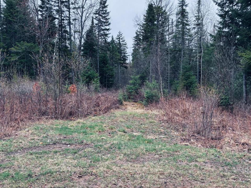 Standish Road 86 Acres