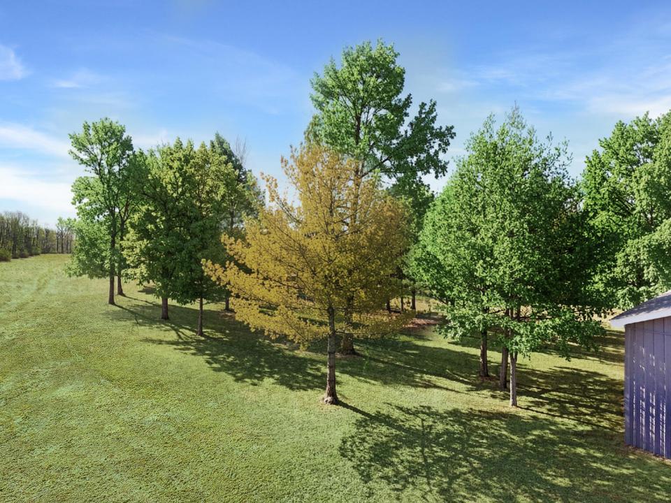 DJI_20250318104609_0022_D