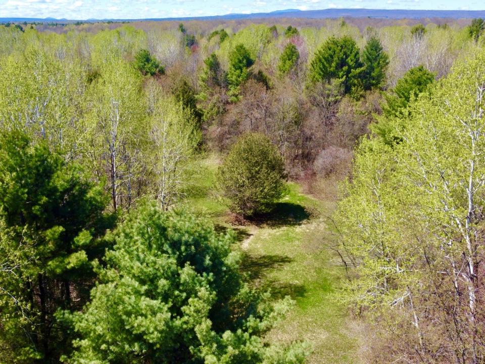 DJI_0195